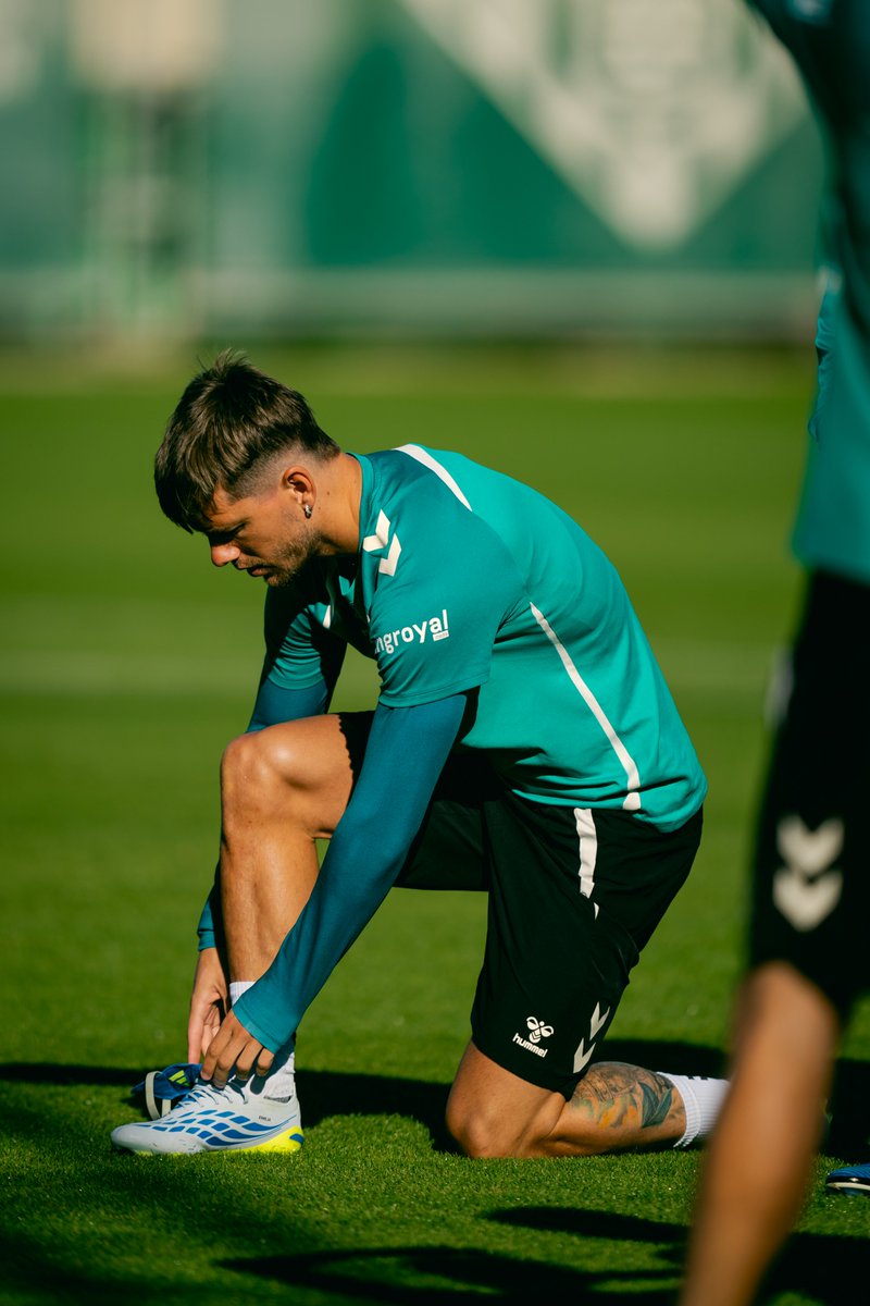 Real Betis Balompié 🌴💚 tweet media