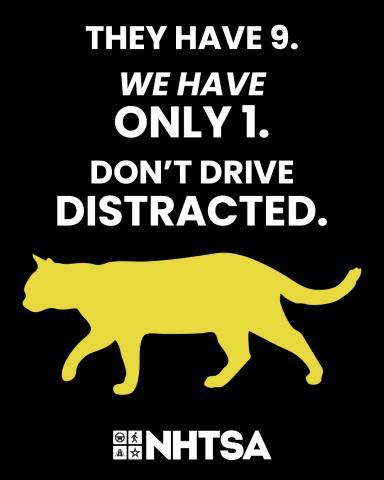 Alert, Aware, ALIVE: Drive Smart Delmarva tweet media