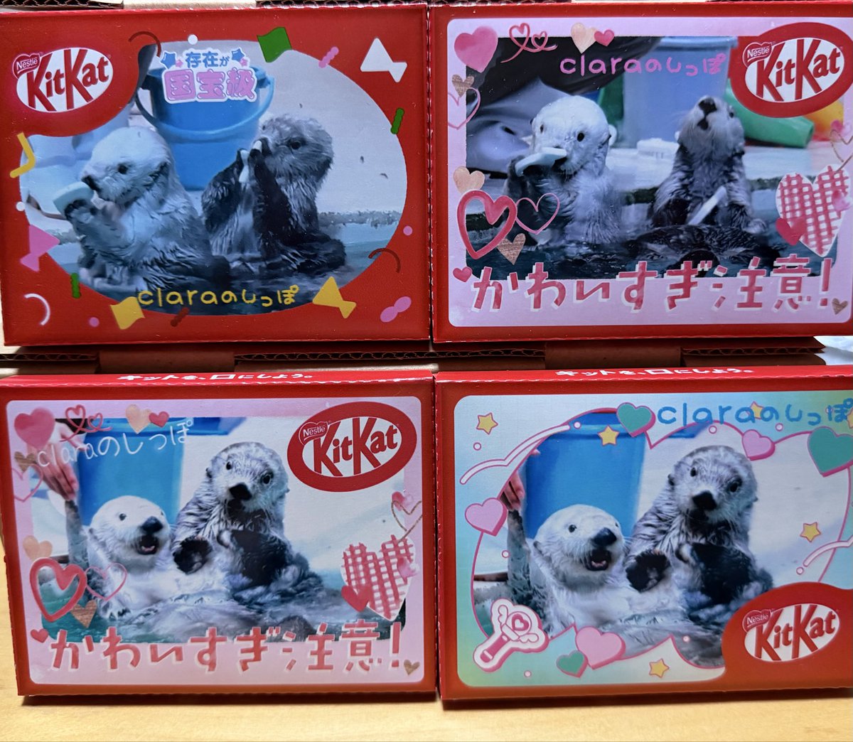 claraのしっぽ tweet media