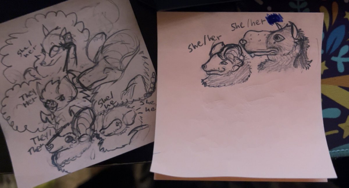 Ferret! 💛🦇 tweet media