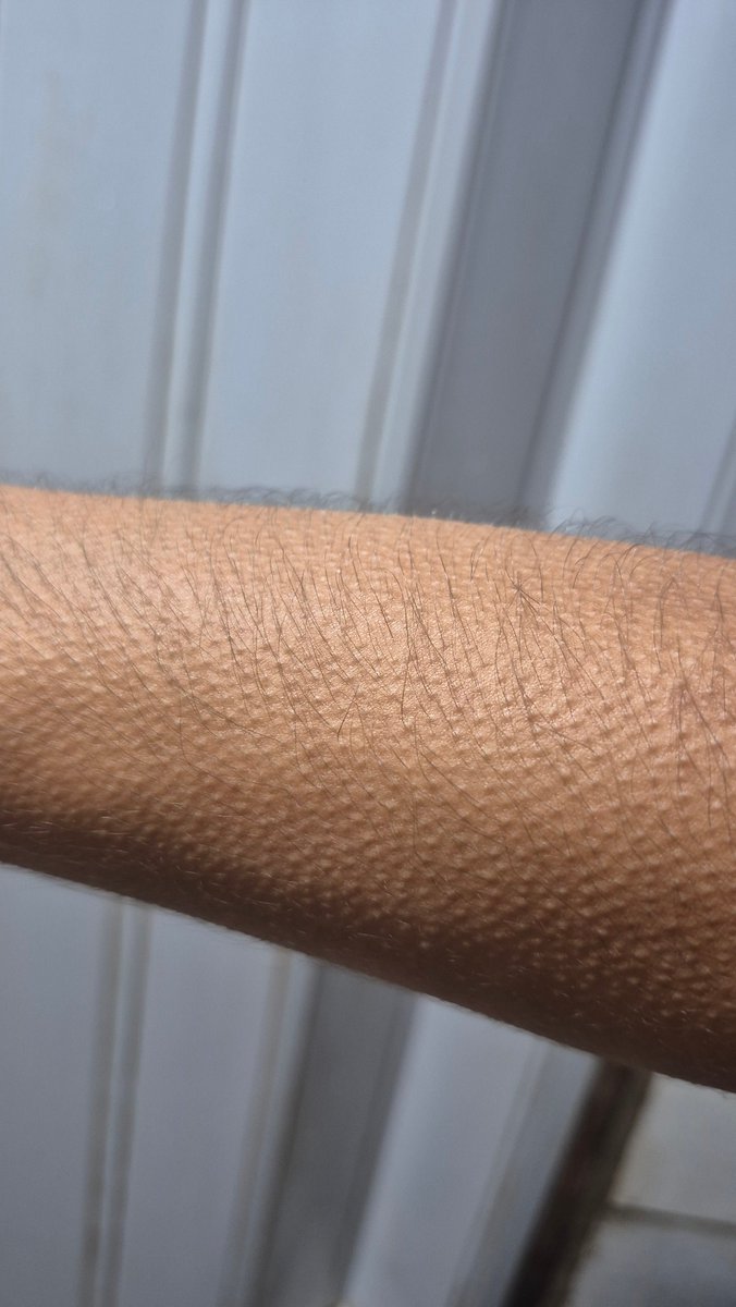 AYRA PRADO 🔱 EQUILIBRIVM tweet media