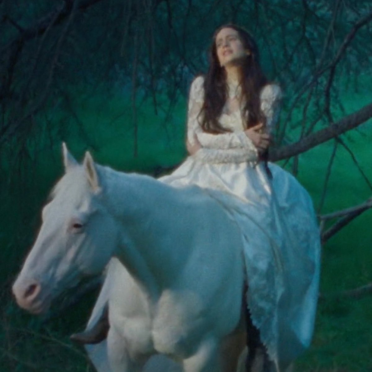 TNC | LUX 🪽 tweet media