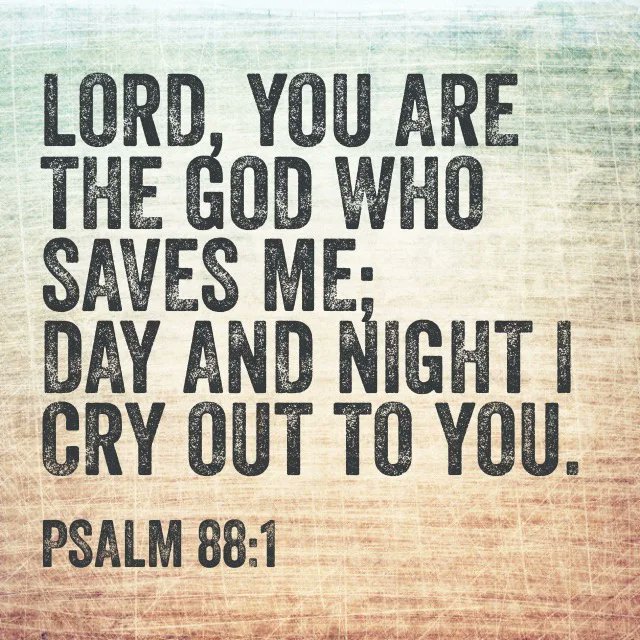 Living Waters NV tweet media