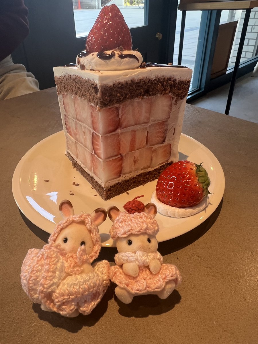 𝔹𝕖𝕥𝕙🐾໊ tweet media