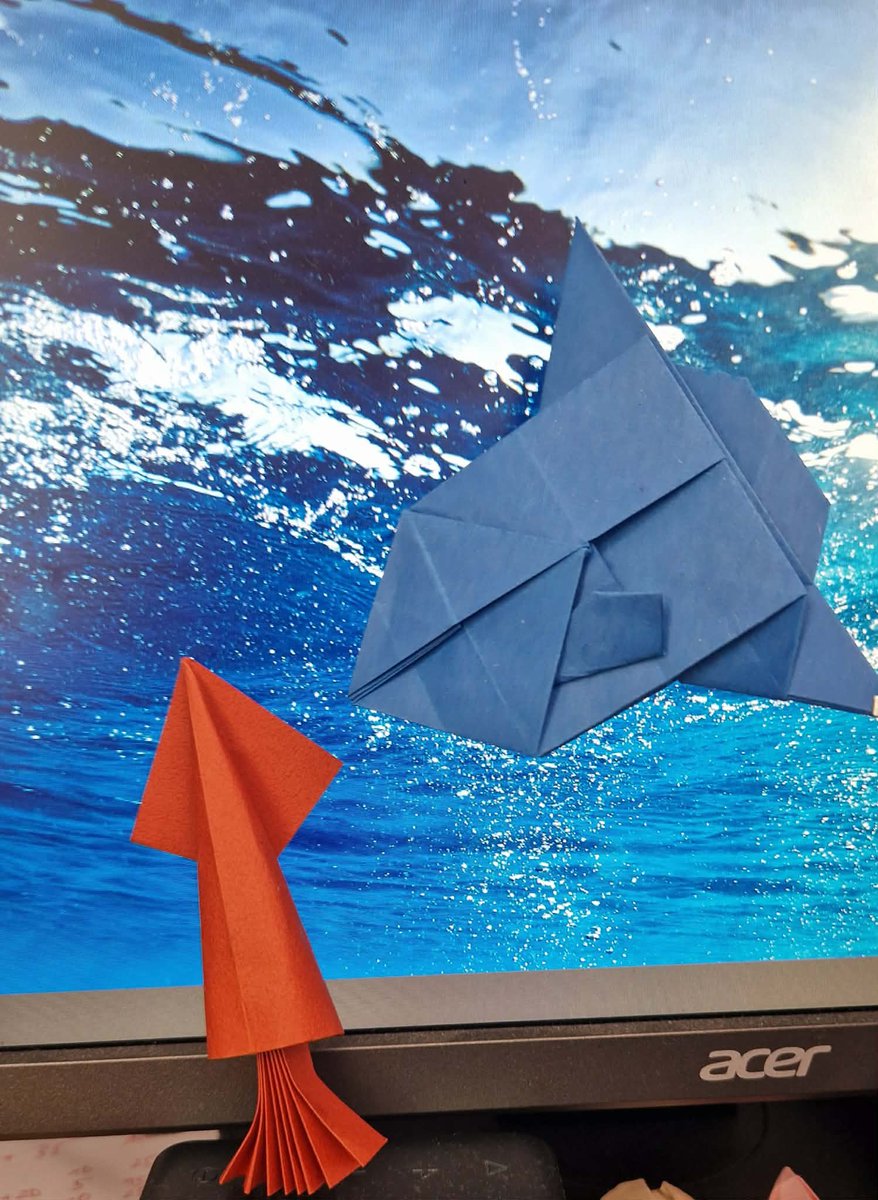 akari🌙✨ tweet media