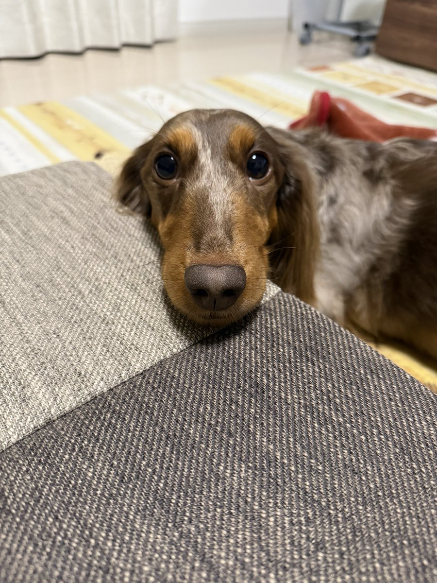 なんだ、この可愛い子は🥰