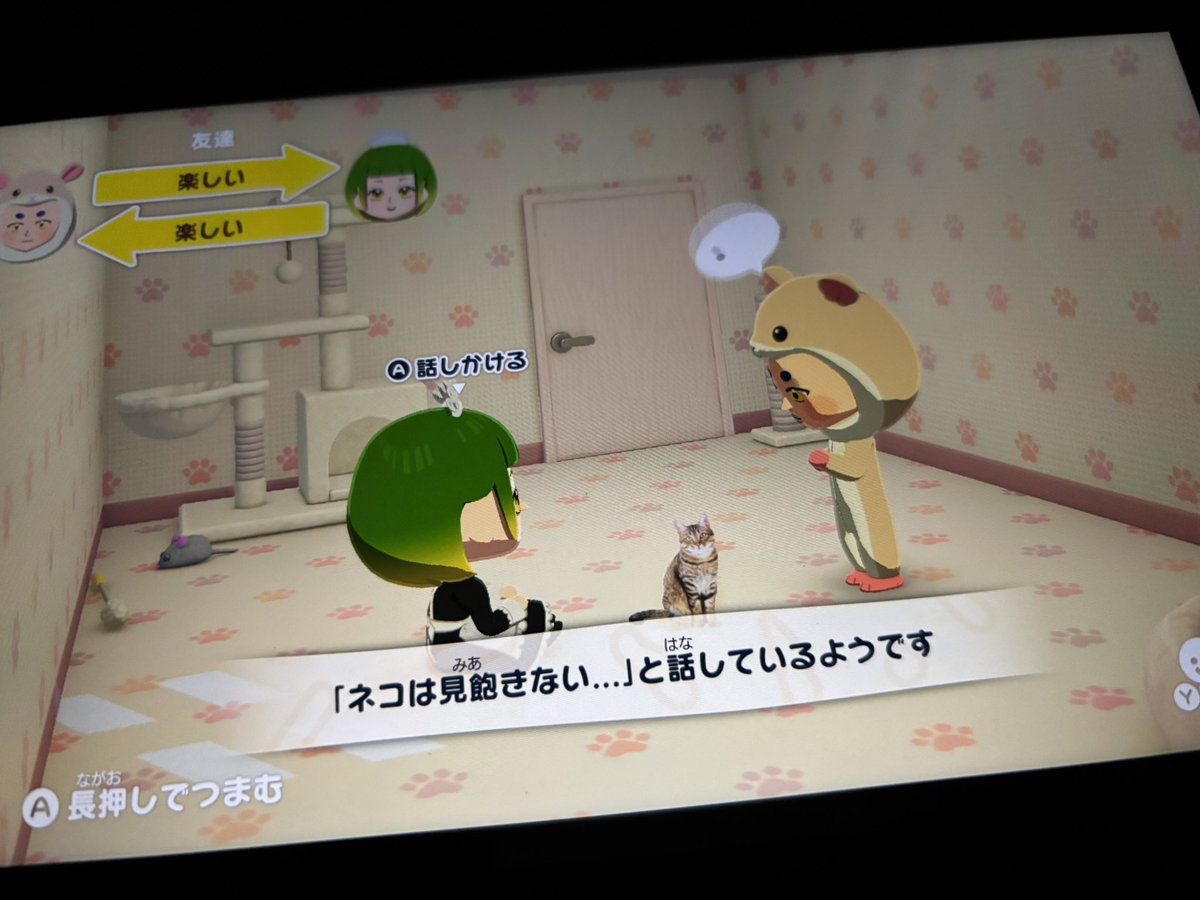 紫藤 蛙子🐸🌧DAGV tweet media