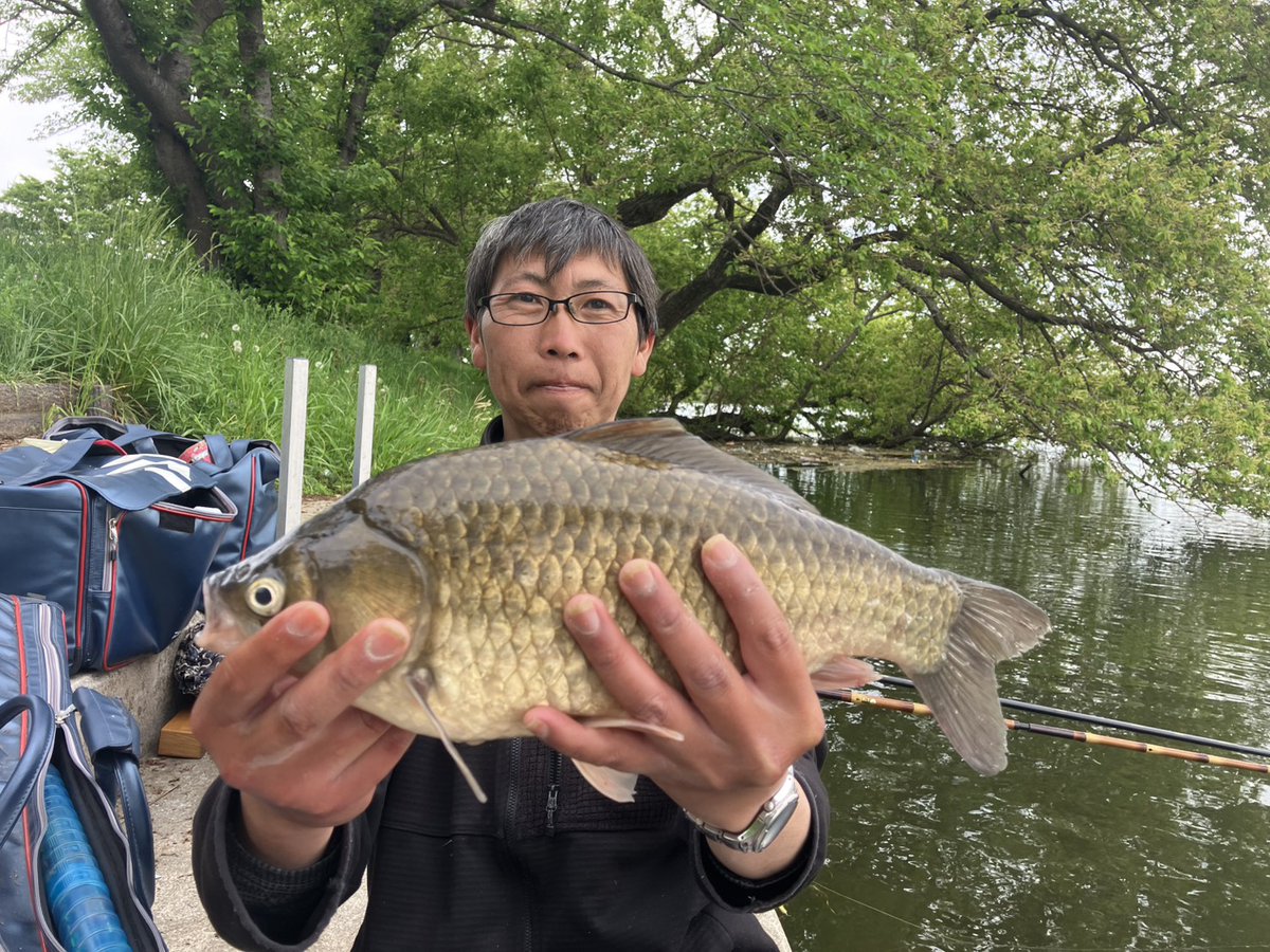 つば🌟やん🐟️ tweet media