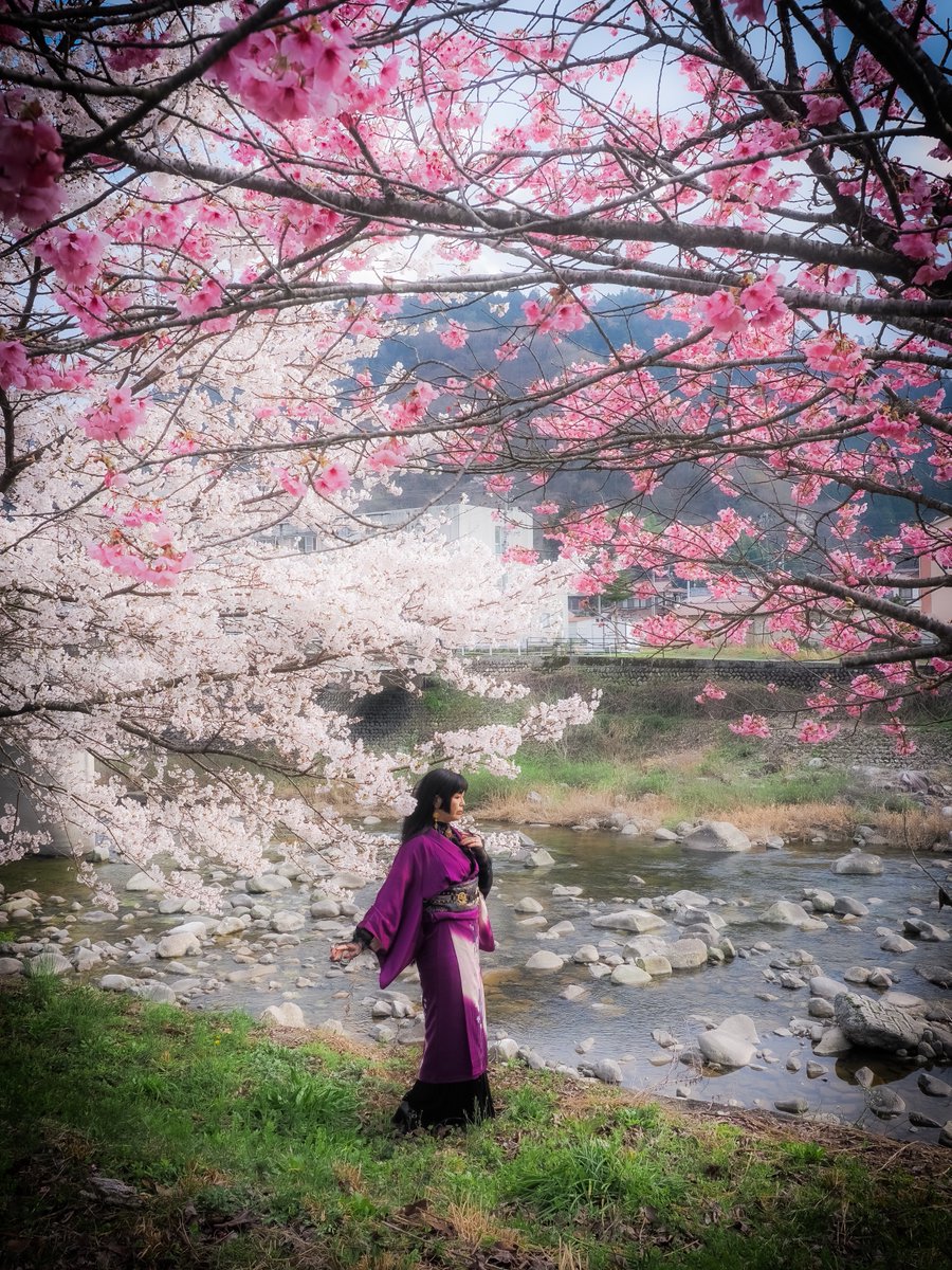 NatsukoCoral's tweet photo. 春の記憶  
カメラマン：たあさまさん @0725_axe_3

#桜ポートレート #広島ポートレート #ポートレート #ファインダー越しの私の世界 https://t.co/ESsM3GfyM4