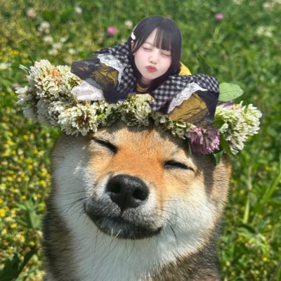 おちゃ tweet media