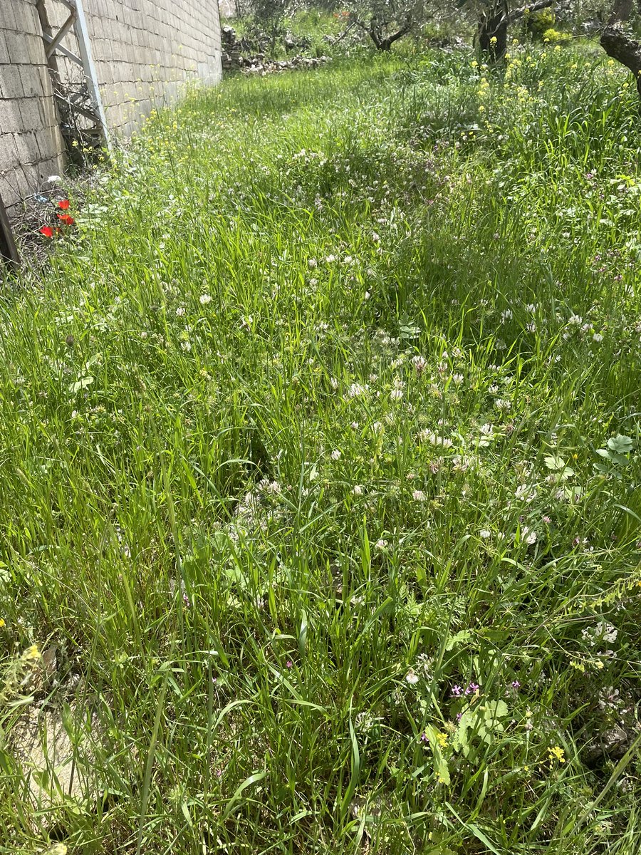 reem🇱🇧 tweet media