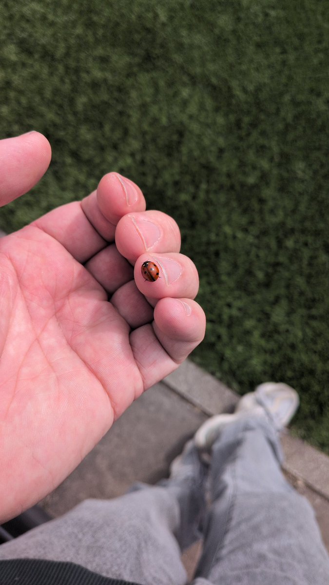 Even een middagje helpen bij de Koningsspelen. "Wil jij op mijn lieveheersbeestje passen?"