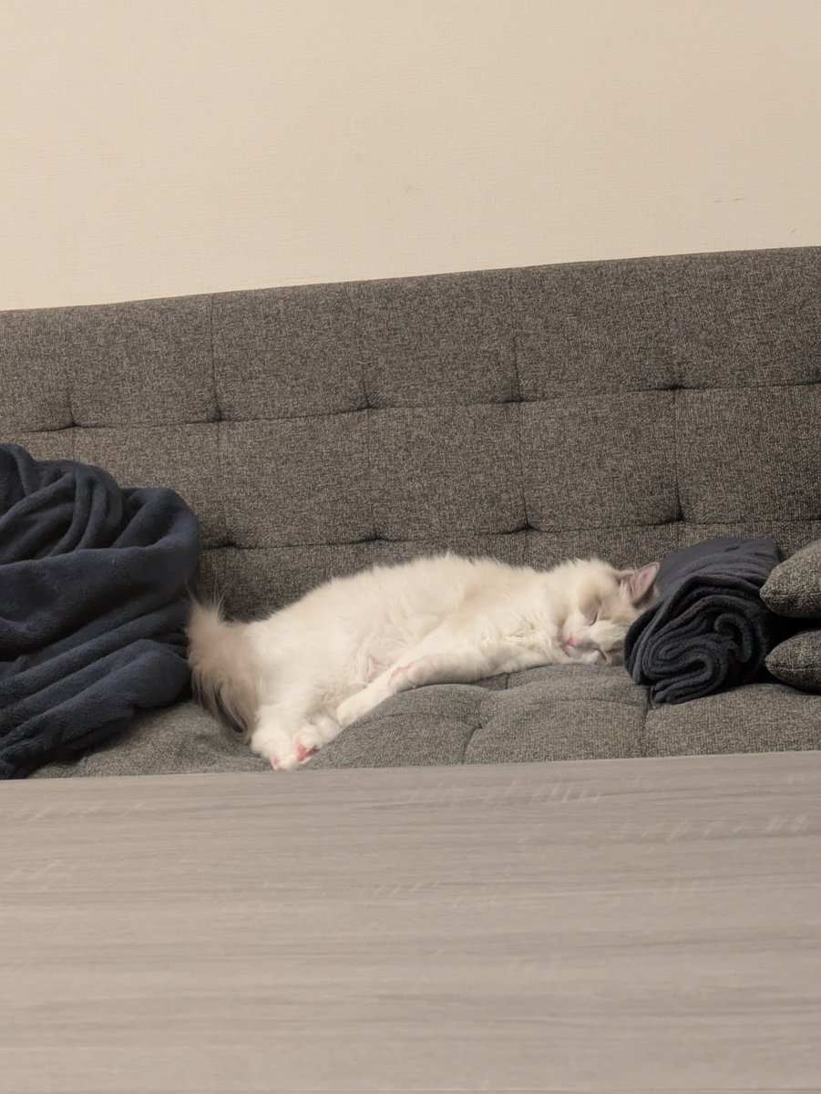 あいぞの tweet media