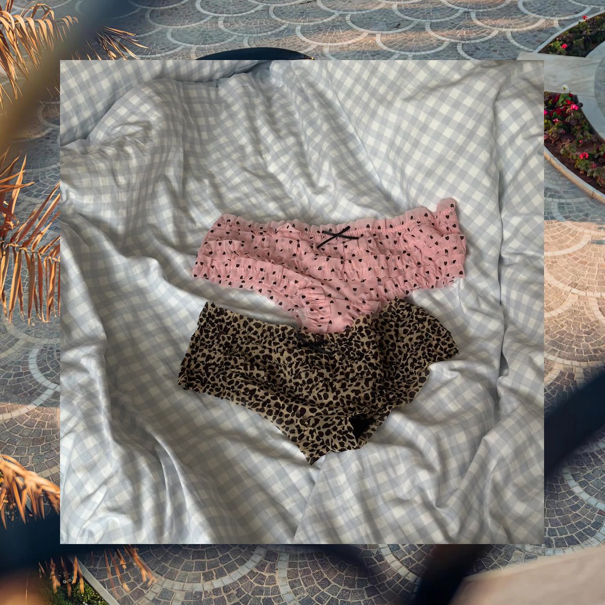 Jenna Webb tweet media