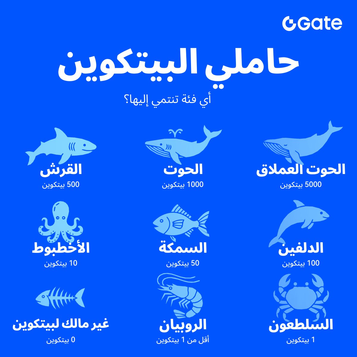 Gate Dubai tweet media