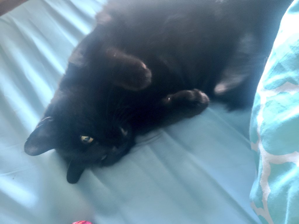 rachel is cringe tweet media