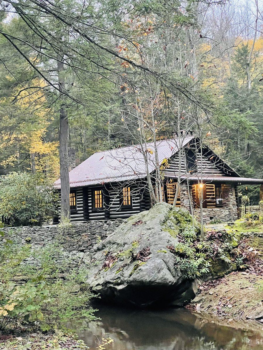 Billy DeLions tweet media