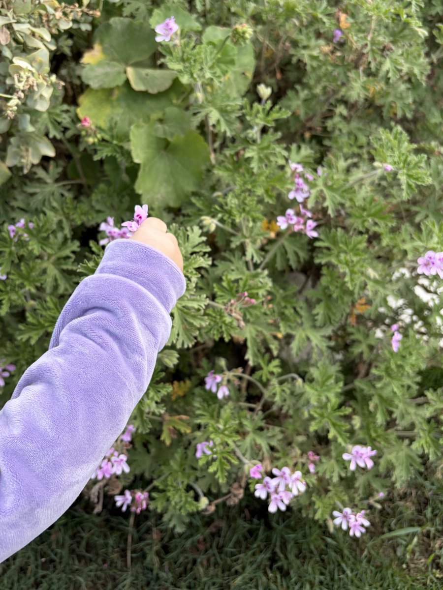 ﹌﹌﹌﹌﹌ tweet media