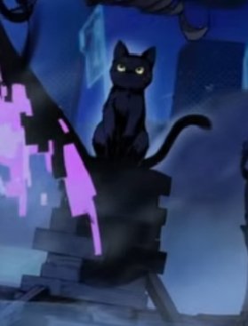 𖥻 ׁ ׅ Daily Elio ! ׁ ׅ 🐈‍⬛ tweet media