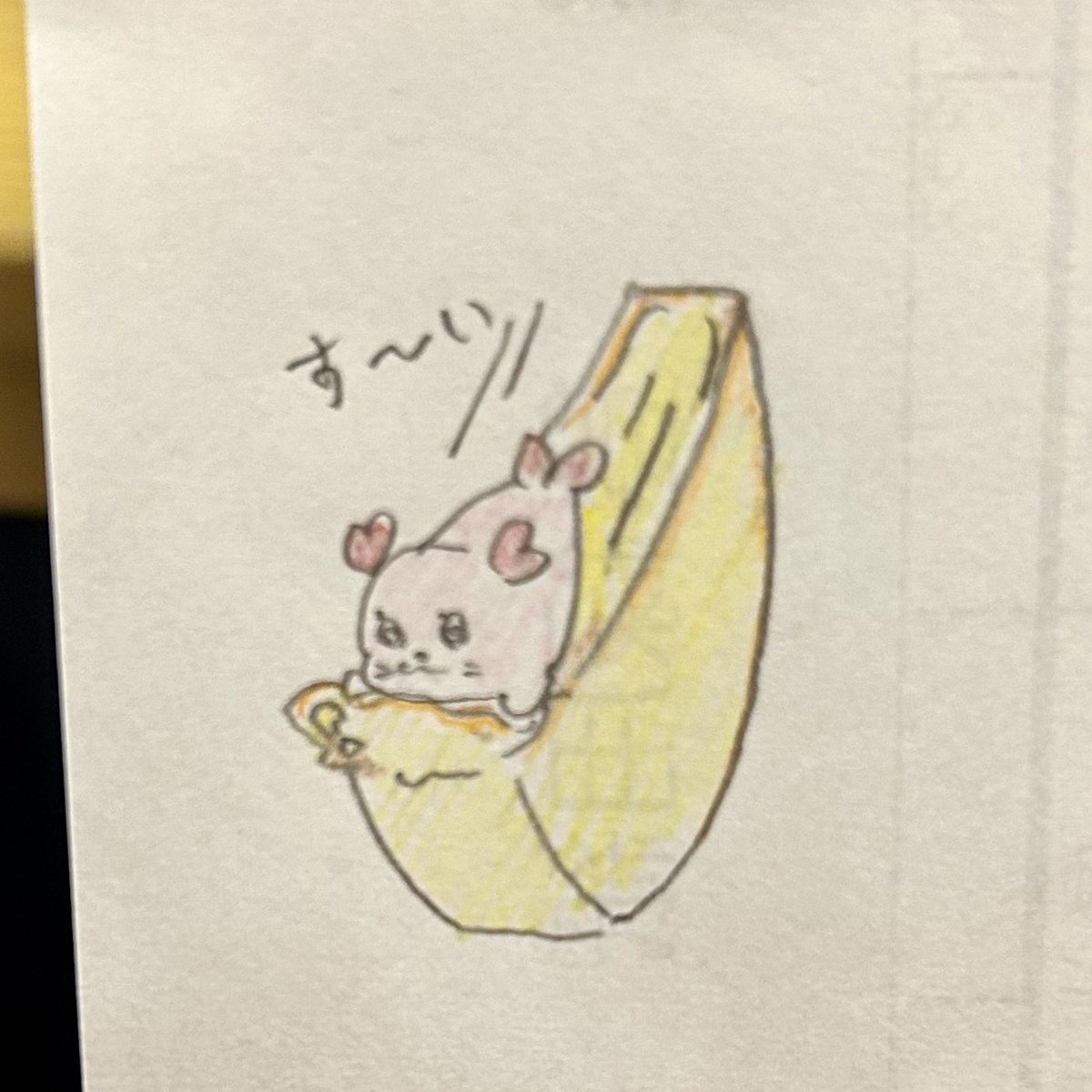 アナログで参戦

お腹の方からチーズに向かってみた
