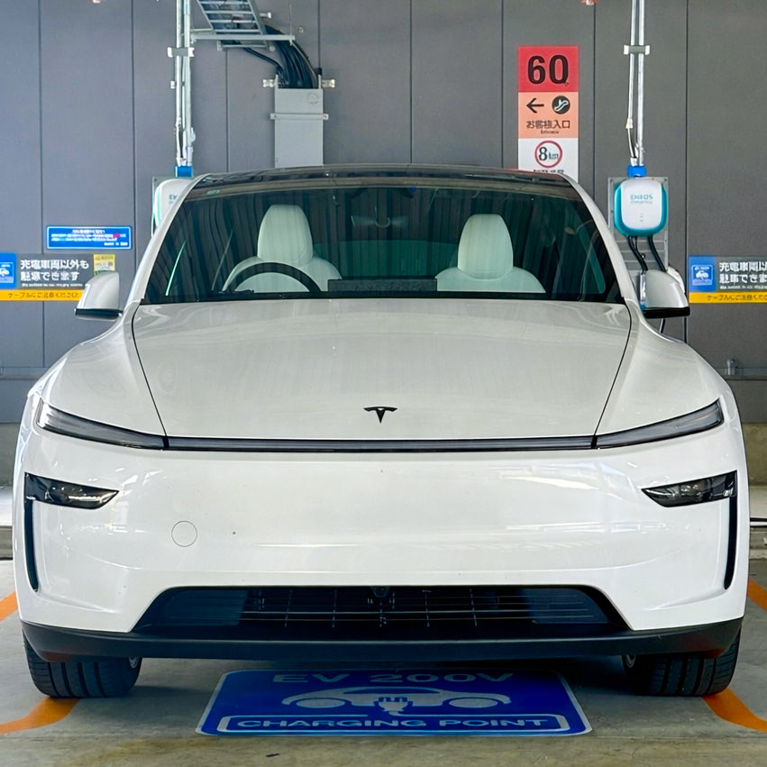 Tesla Delivery Insight JP tweet media
