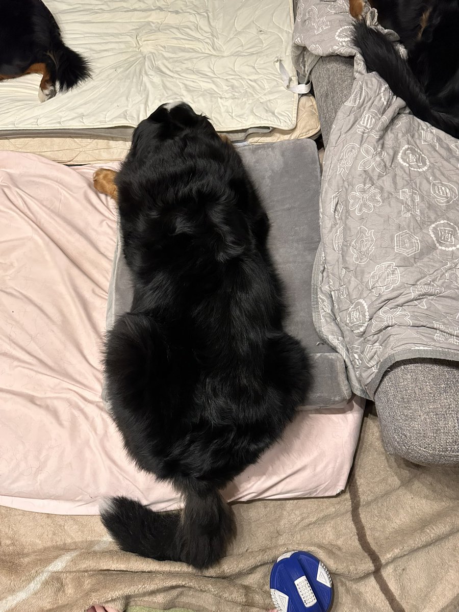 みにまむ tweet media