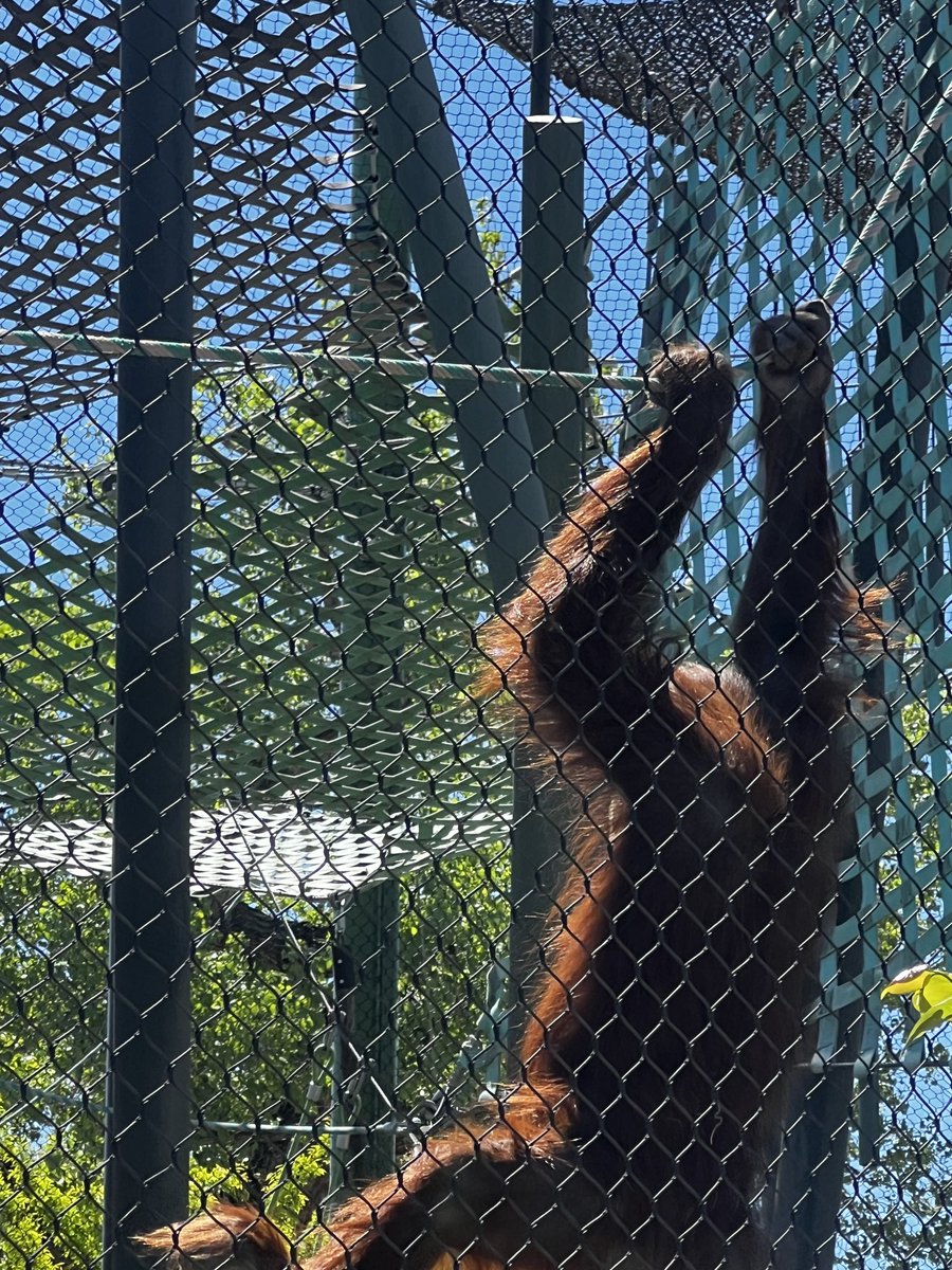 MoonSoon tweet media