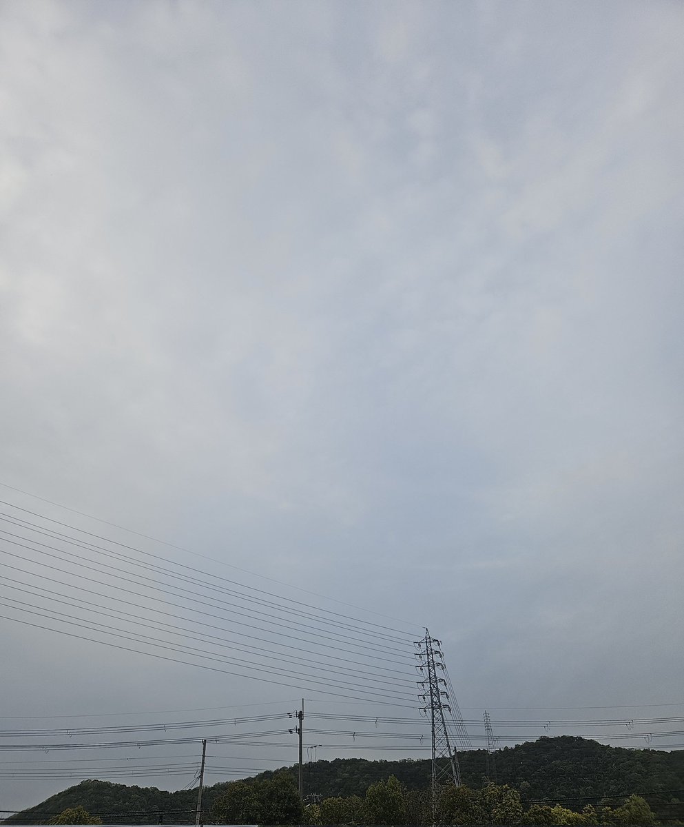 🍏𝕜𝕪𝕠⁻𝟛 👑✦ℂℍ𝕀𝕄𝕀ℝ𝕆✿𝔾𝕆𝔾𝕆🎙쿄-3 tweet media