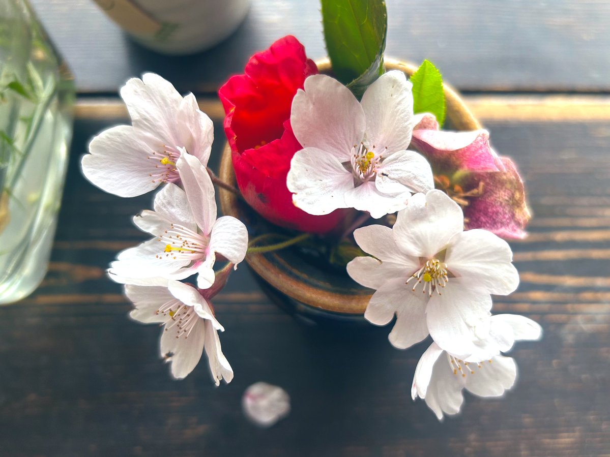 café pont chatポンシャ tweet media