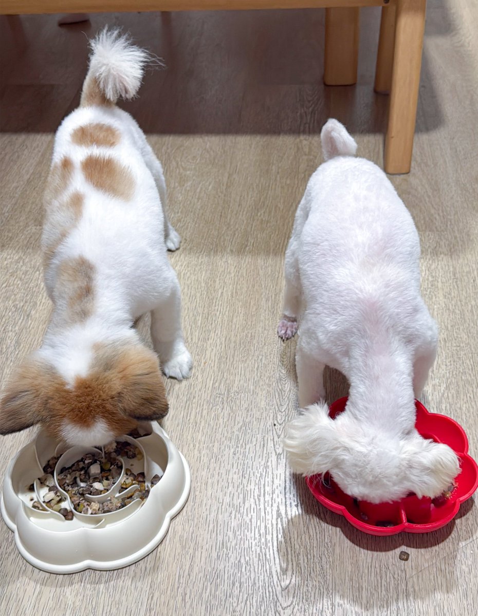 DNVP 💋 (Malonfamily) tweet media