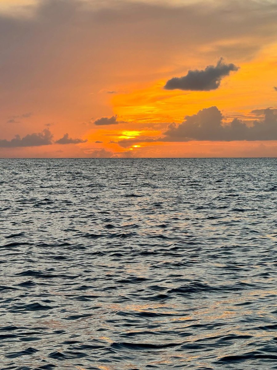 Kevin S. ‘Whis’ Whisman tweet media