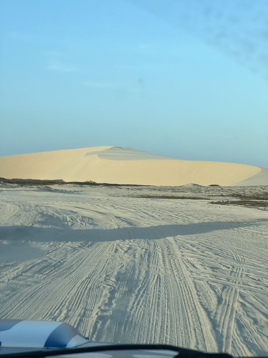 fafá ✮ tweet media