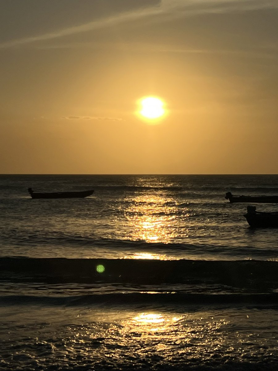 fafá ✮ tweet media