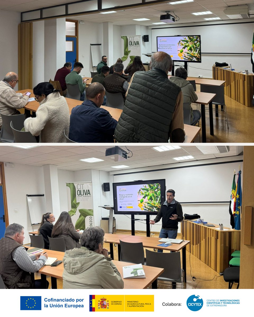 citoliva tweet media