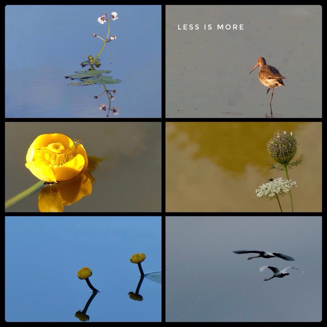 adriana57's tweet image. Een foto waarop niet veel te zien is kan heel sterk zijn. We noemen dit ook wel minimalisme.
Vandaag bij #camer_A_pril het thema #minderismeer
@jolandabrwr  #lessismore
Fijne dag 👋🏻