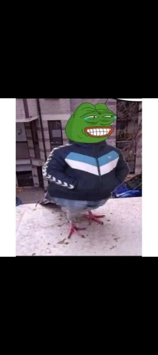 Focused Nerd tweet media