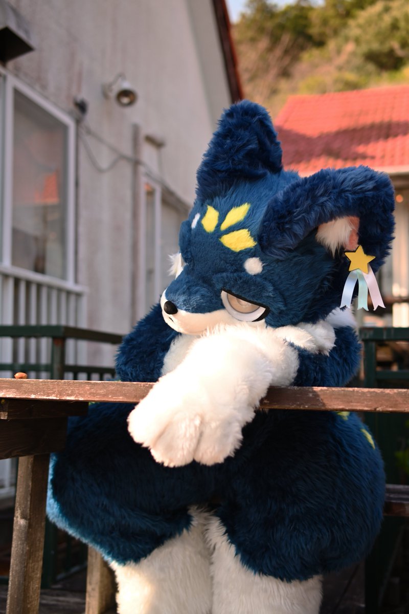 gosiki_vixen's tweet photo. ひだまりの下
#pH2
#FursuitFriday https://t.co/a6cM5HXfaM