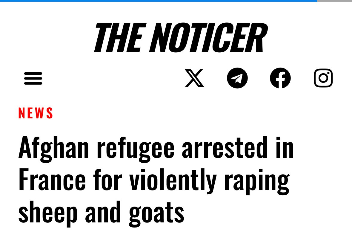 Breanna Morello tweet media