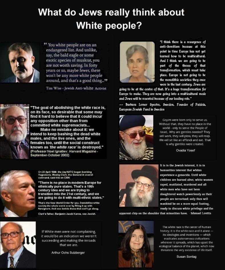 don blue tweet media