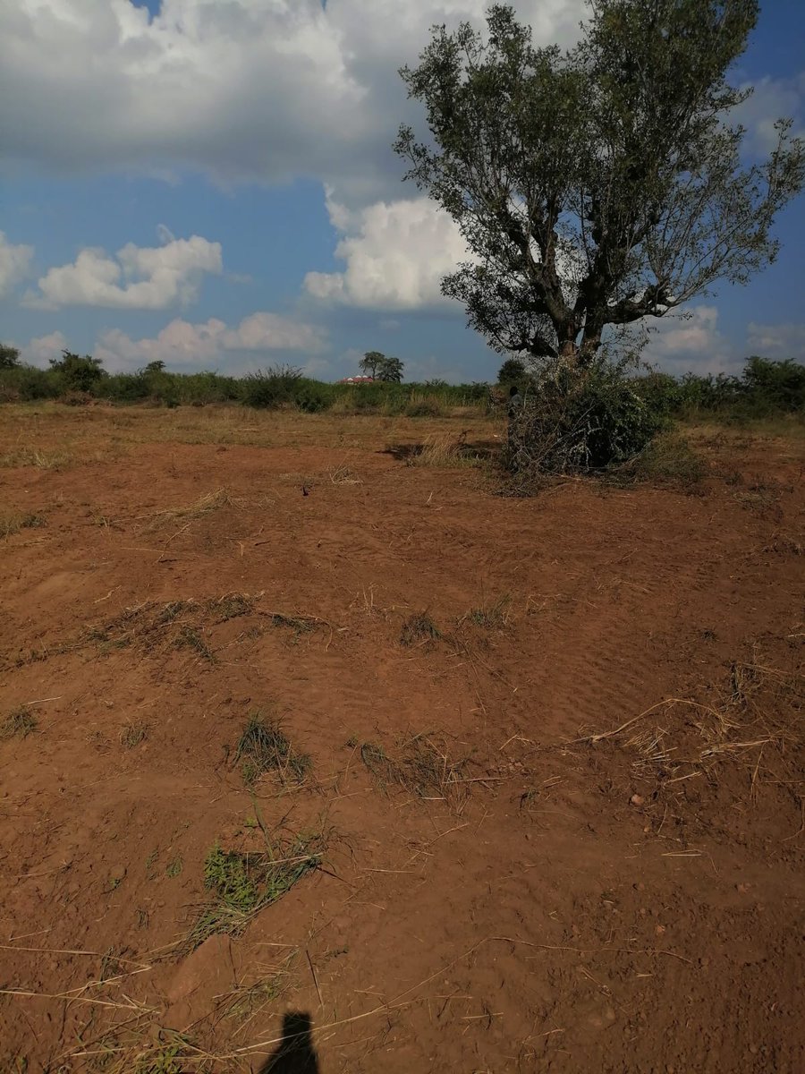 Malume_Gee tweet media