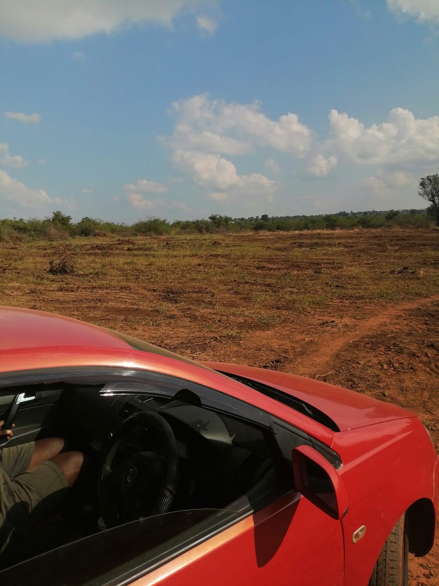 Malume_Gee tweet media