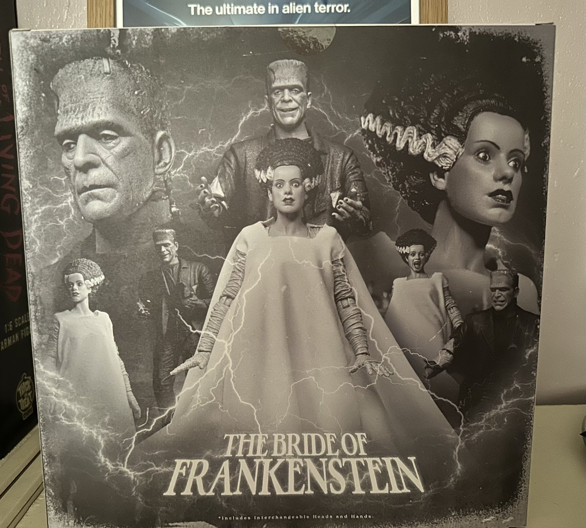 DogSoldier82's tweet image. 1 of my pick ups from neca’s haulathon 😊

#horror #frankenstein #bride