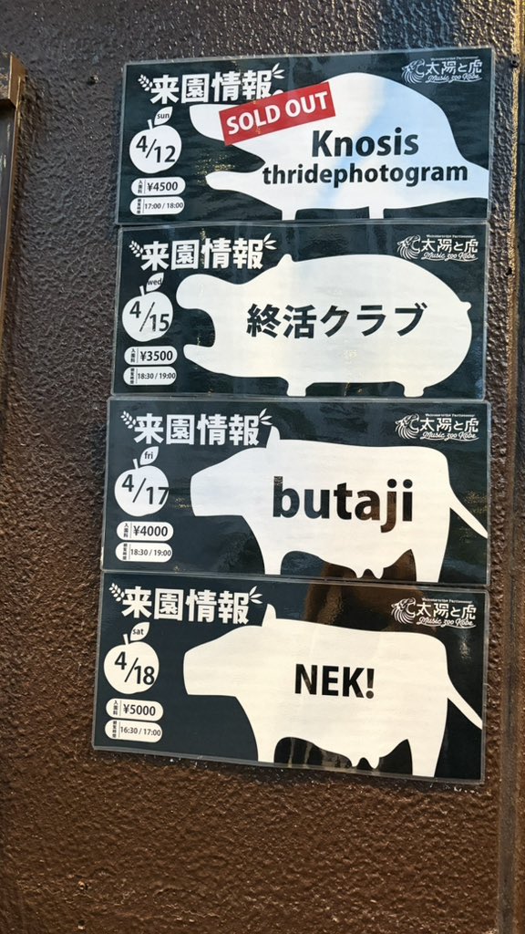 memoryintheblue's tweet photo. butajiさんのライブ
2026/4/17 at 太陽と虎(神戸)
やっとライブを観に行くのが実現
♪トーチを
生で聴ける日が来るとは
♪東京タワーとスカイツリー
♪あかね空の彼方
が
いつか
生で聴きたい
#哀愁
#70年代感
#夕方再放送感
#butaji
#太陽と虎
#トーチ
#東京タワーとスカイツリー
#あかね空の彼方 https://t.co/9ZjgVbH4Hw