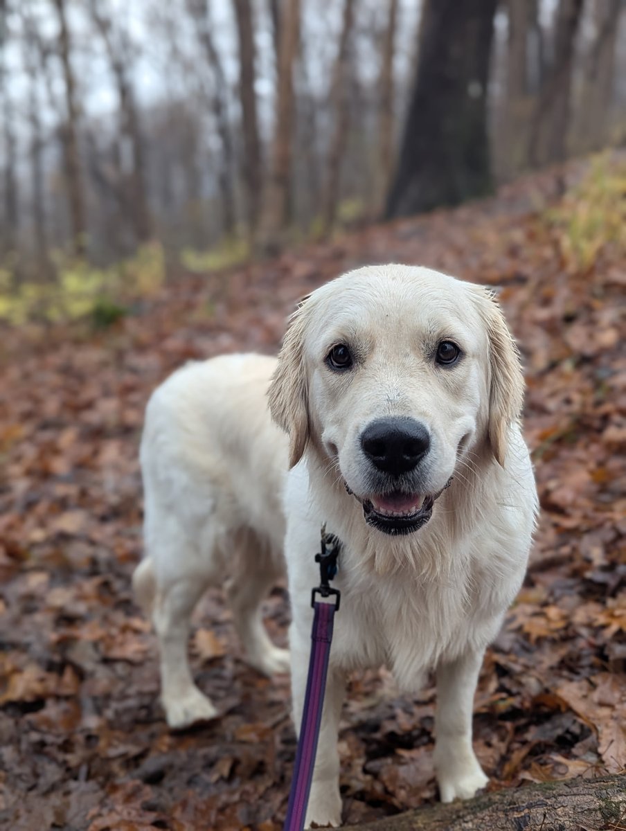 ClinicallyInane tweet media