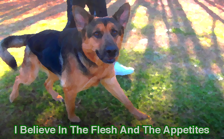 Luther Mckinnon tweet media