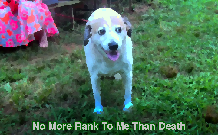 Luther Mckinnon tweet media