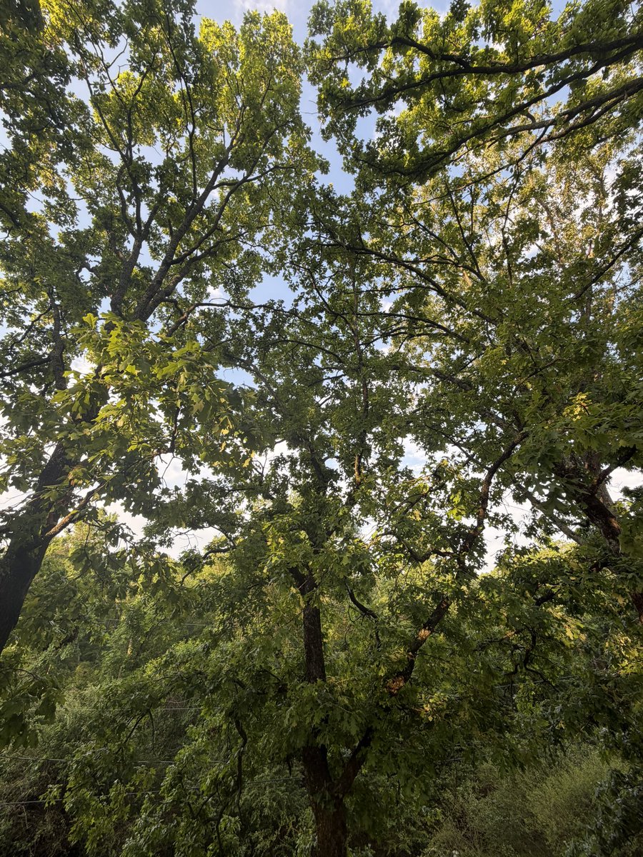 Samuel Moore tweet media