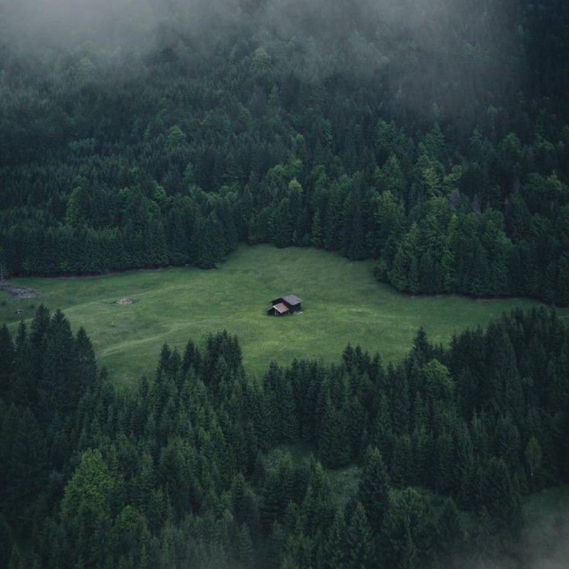 Kitaplardan Alıntılar tweet media