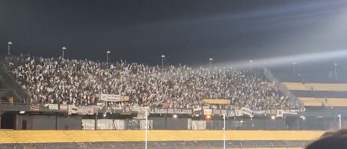 RinconCalamar's tweet photo. Los dueños de la fiesta 🦑🤎🤍😜
VAMOS CALAMAAAR
#LBDC #Platense #Conmebol #Libertadores https://t.co/Huozp0pmGk
