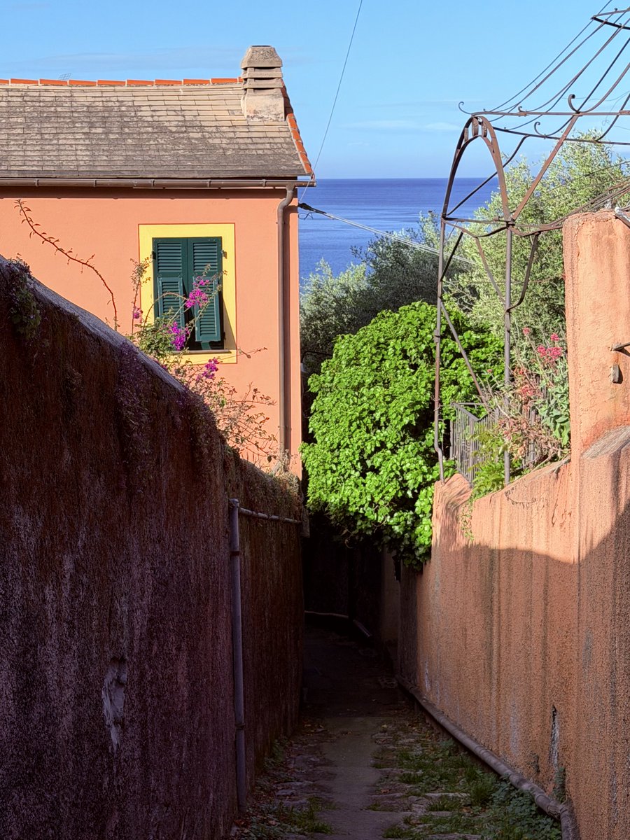 Alonein43672278's tweet image. #photography #recco #italy #sea #alley #colors